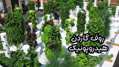 روف گاردن هیدروپونیک