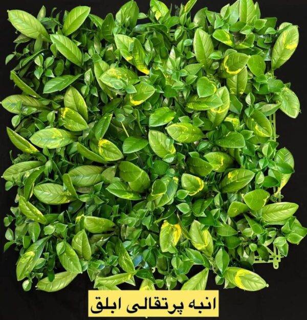 گرین وال پنل انبه پرتقالی ابلق